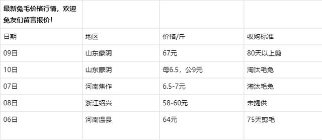 艺术交流活动 第14页