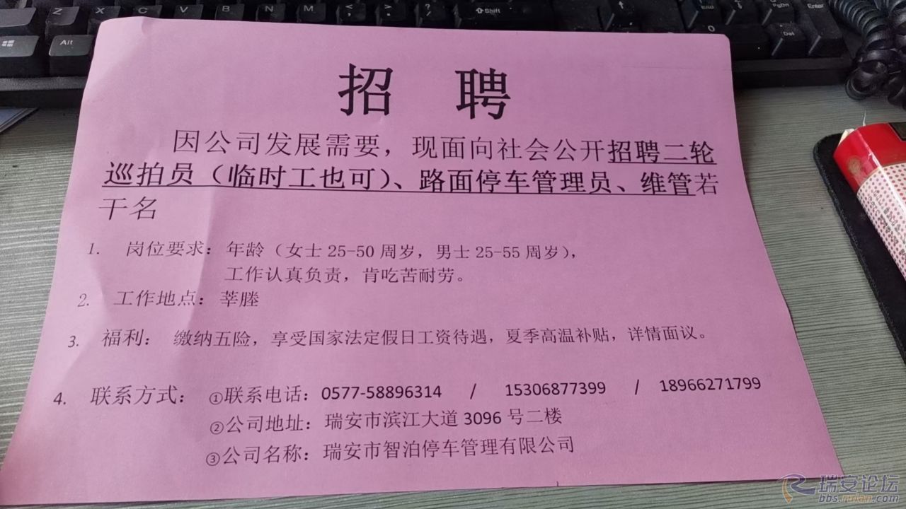 金山招工最新招聘信息详解